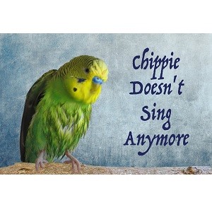 Chippies Doesn't Sing Anymore