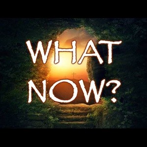 What Now?