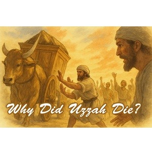 Why Did Uzzah Die?