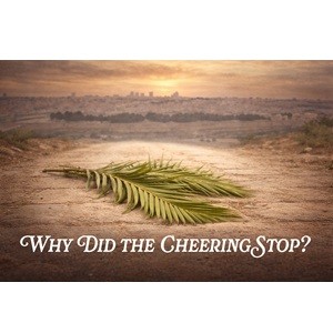 Why Did the Cheering Stop?