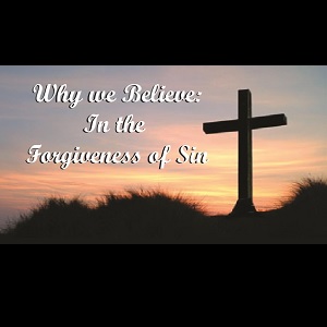 Why We Believe: In the Forgiveness of Sin